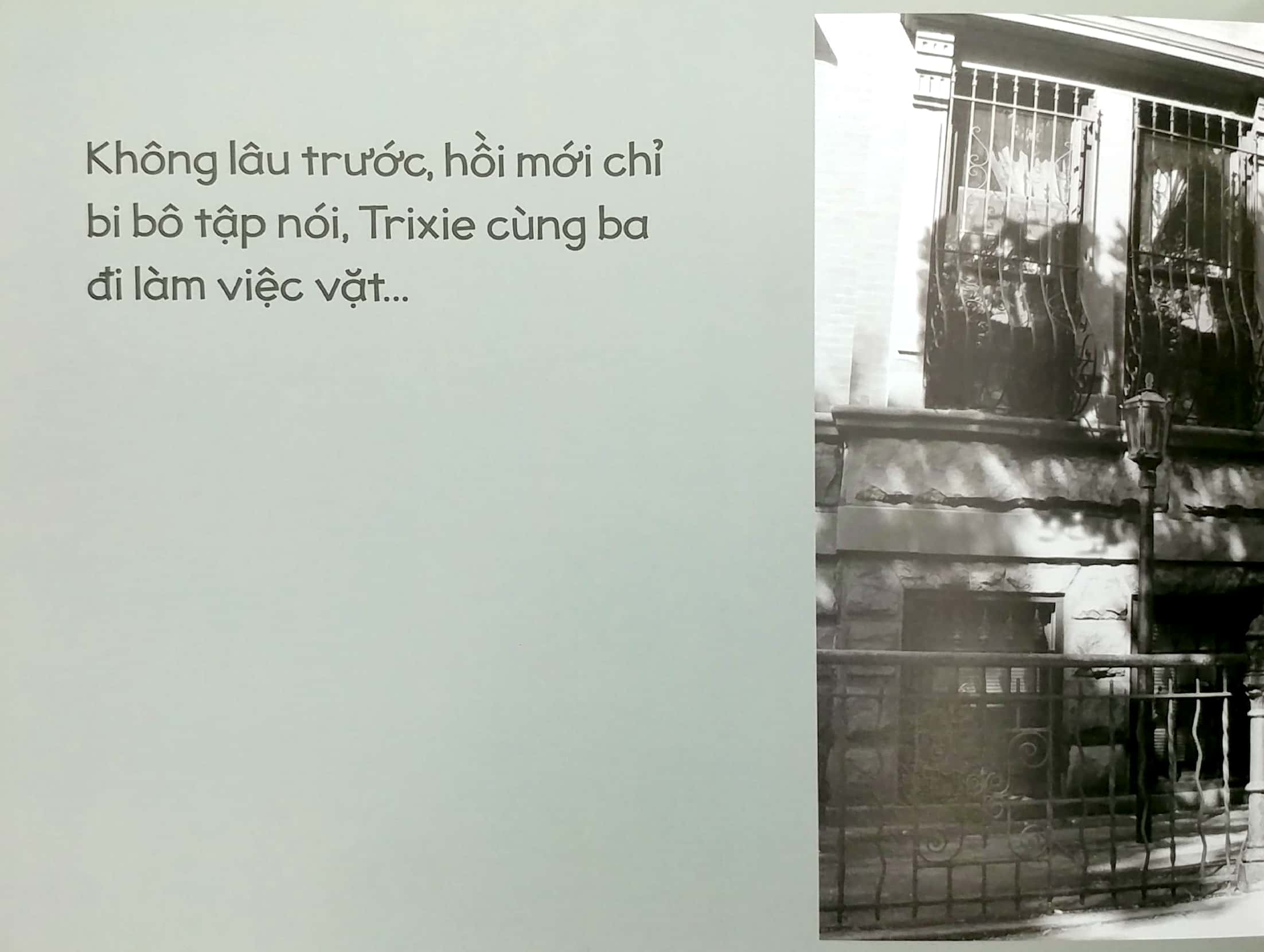 thỏ bé bồng bông - Ảnh 3