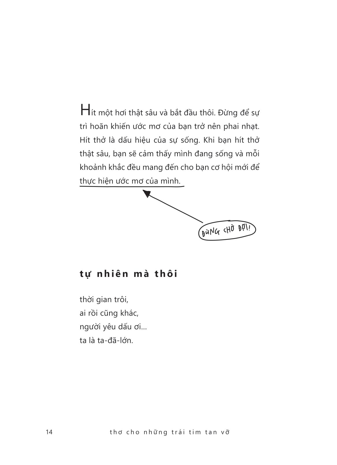 thơ cho những trái tim tan vỡ - Ảnh 16