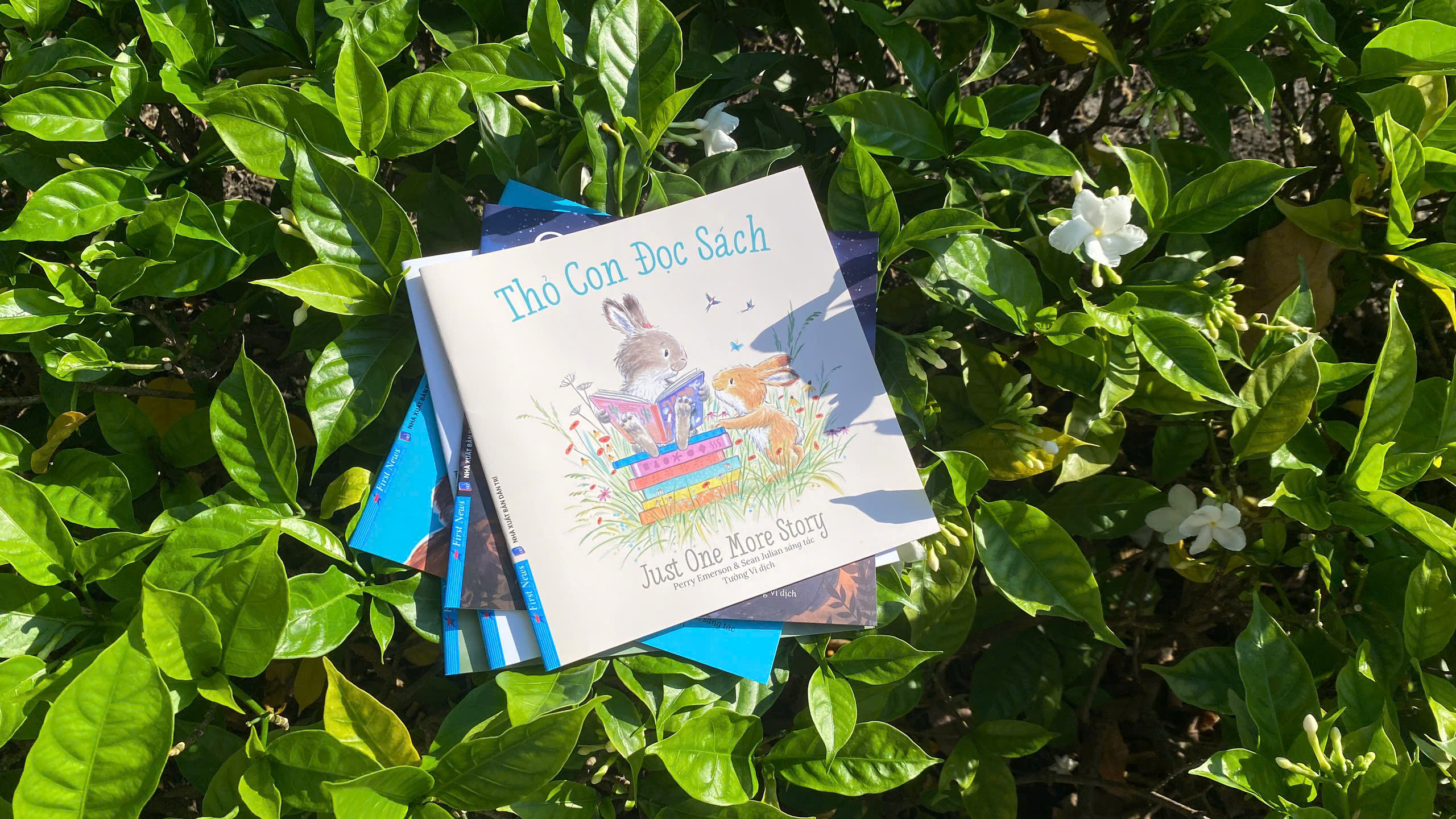 thỏ con đọc sách - just one more story - Ảnh 3