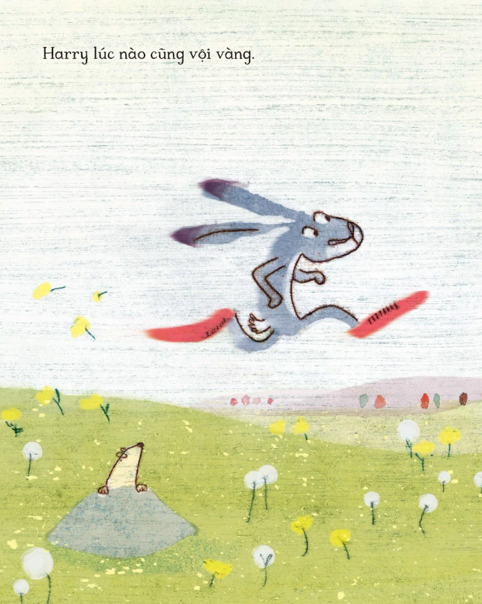 thỏ harry hấp tấp - Ảnh 3