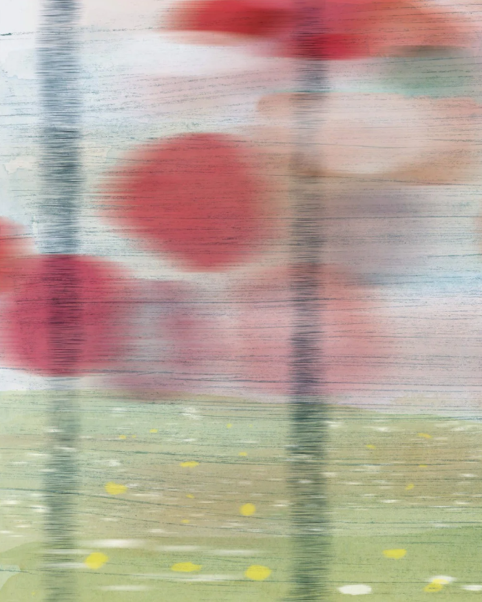 thỏ harry hấp tấp - Ảnh 5