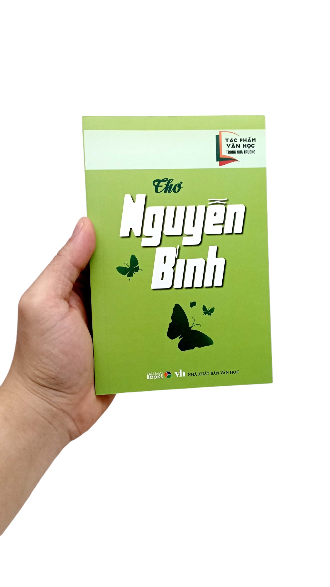 thơ nguyễn bính - Ảnh 7