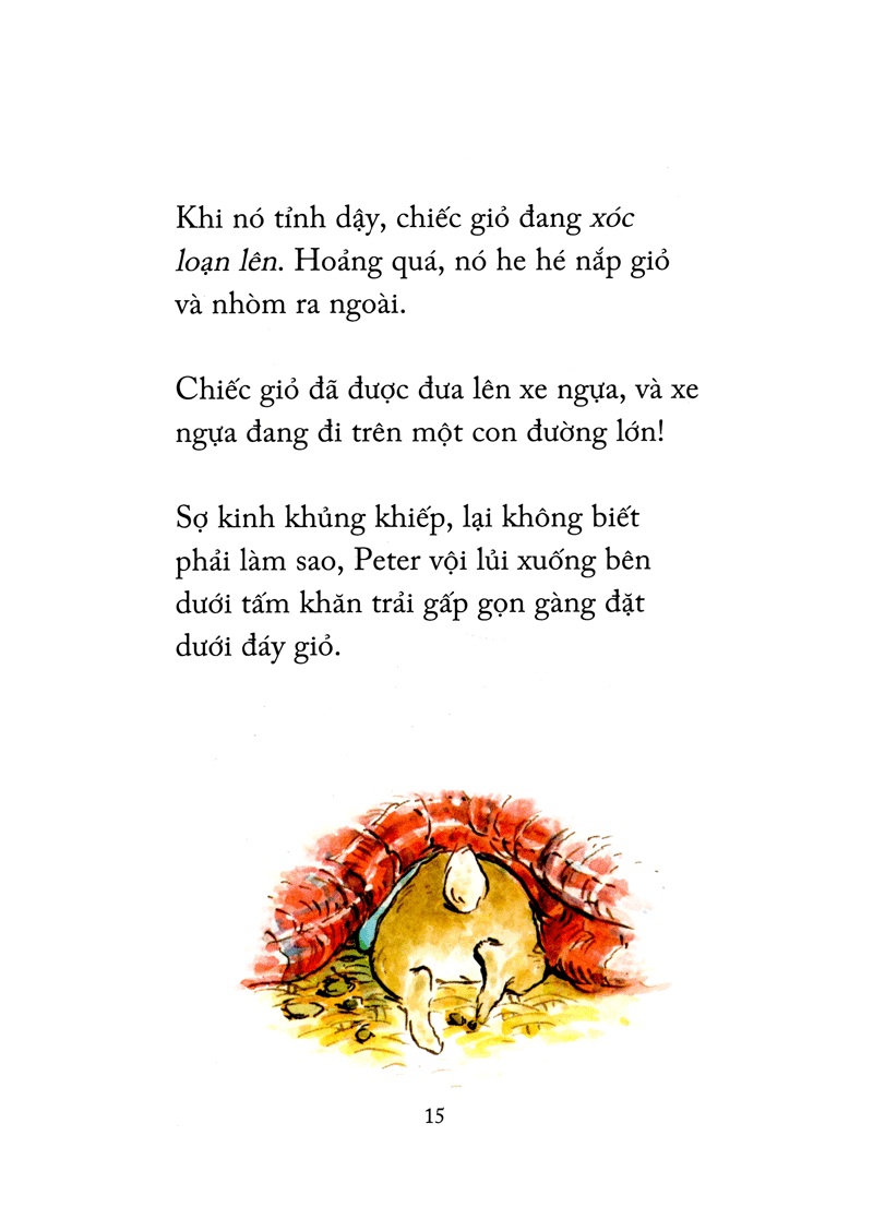 thỏ peter - chuyện bây giờ mới kể - nhà vô địch peter (tái bản 2021) - Ảnh 11