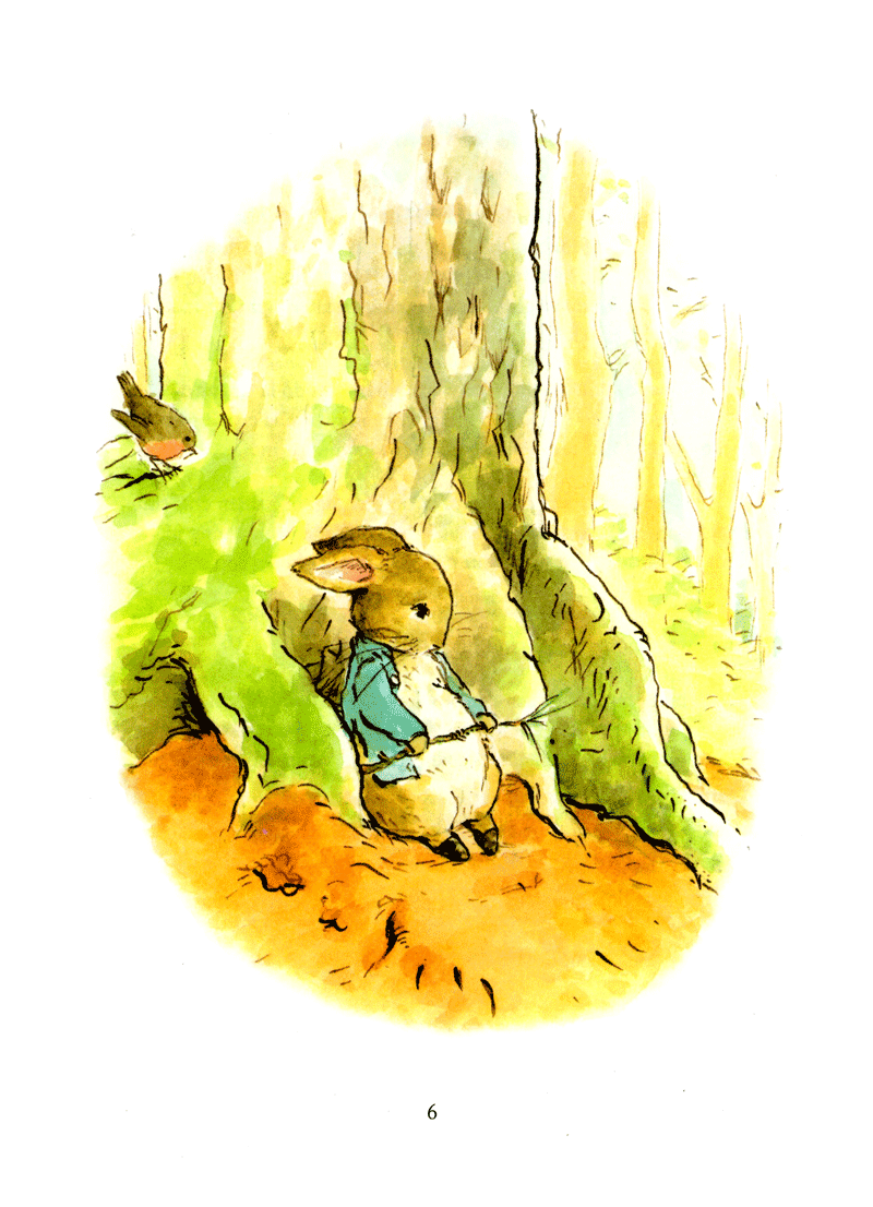 thỏ peter - chuyện bây giờ mới kể - nhà vô địch peter (tái bản 2021) - Ảnh 2