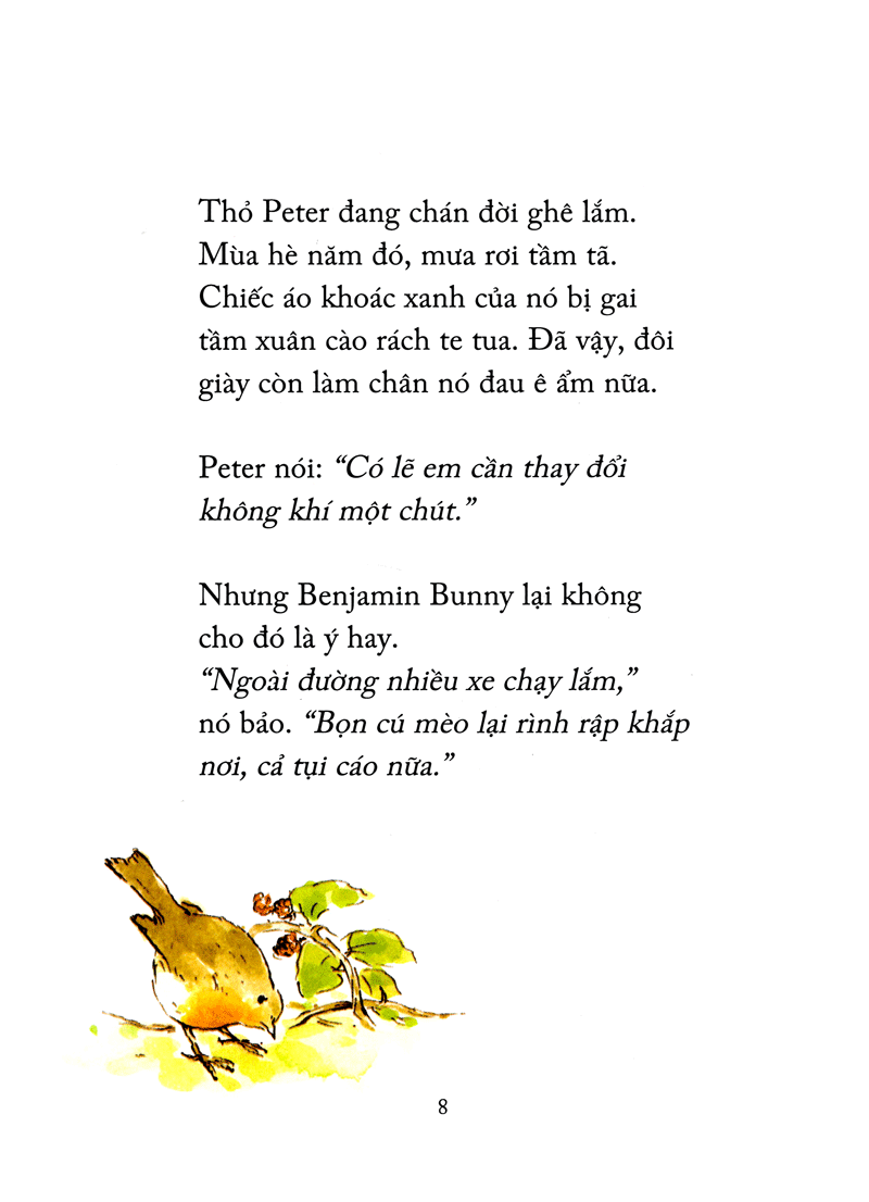 thỏ peter - chuyện bây giờ mới kể - nhà vô địch peter (tái bản 2021) - Ảnh 4