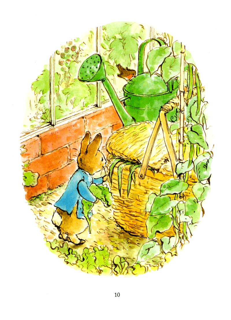 thỏ peter - chuyện bây giờ mới kể - nhà vô địch peter (tái bản 2021) - Ảnh 6