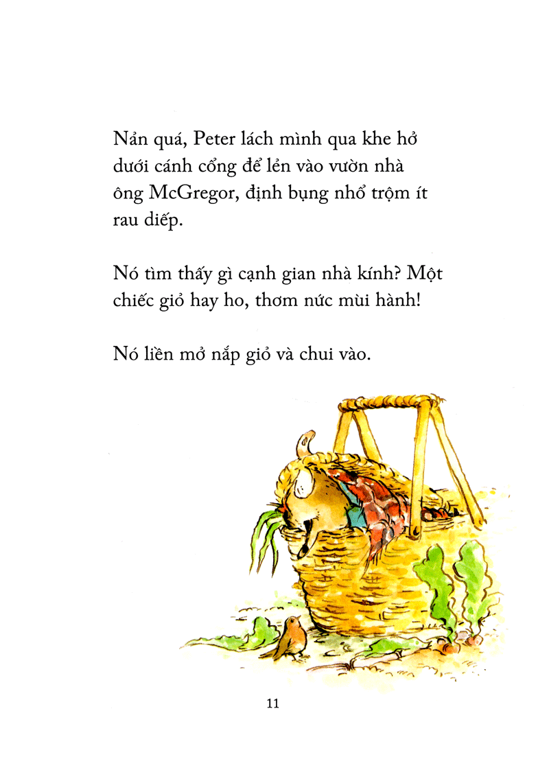 thỏ peter - chuyện bây giờ mới kể - nhà vô địch peter (tái bản 2021) - Ảnh 7