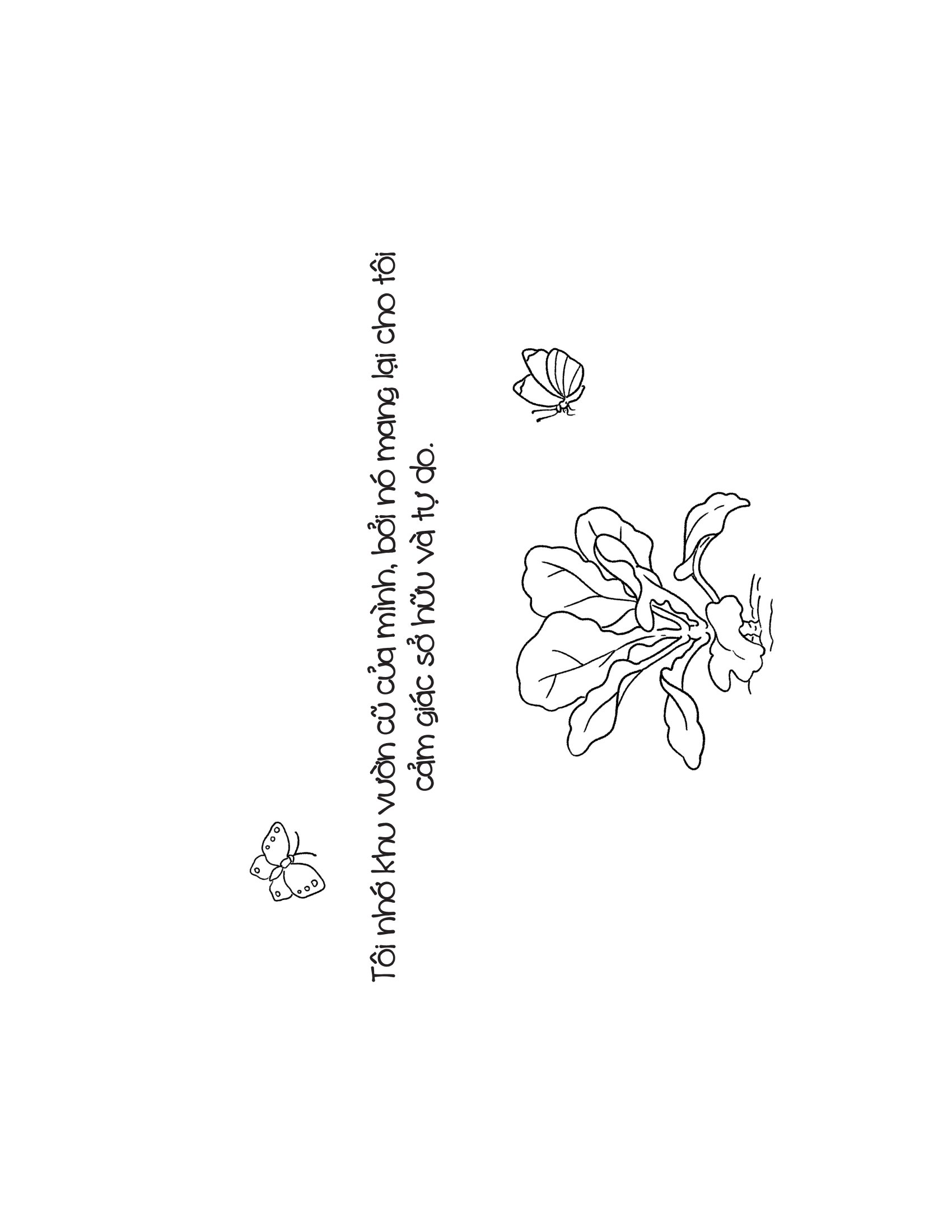 Thỏ Peter Và Khu Vườn Nhiệm Màu - Ảnh 10