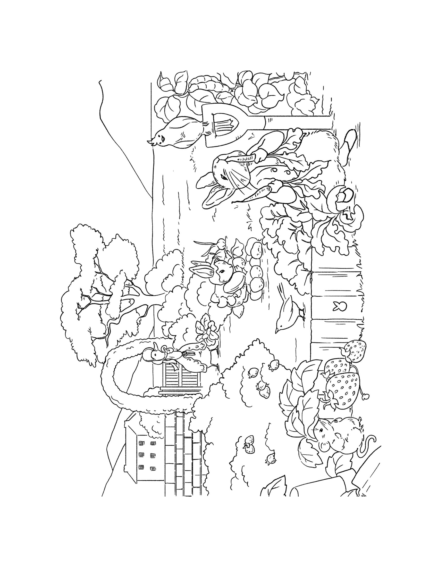 Thỏ Peter Và Khu Vườn Nhiệm Màu - Ảnh 11