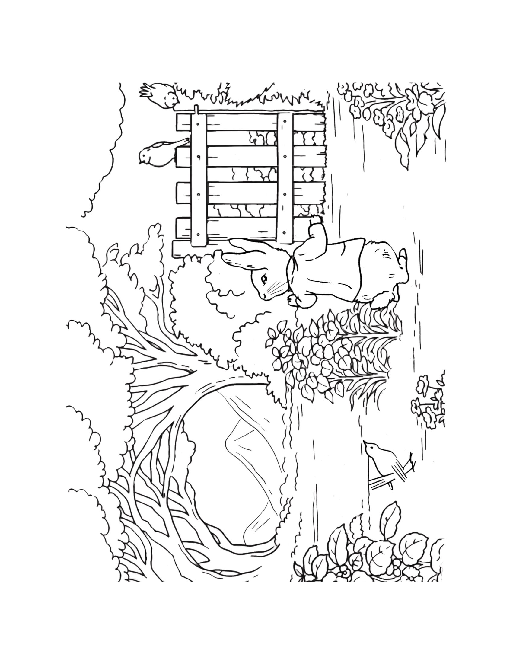 Thỏ Peter Và Khu Vườn Nhiệm Màu - Ảnh 15