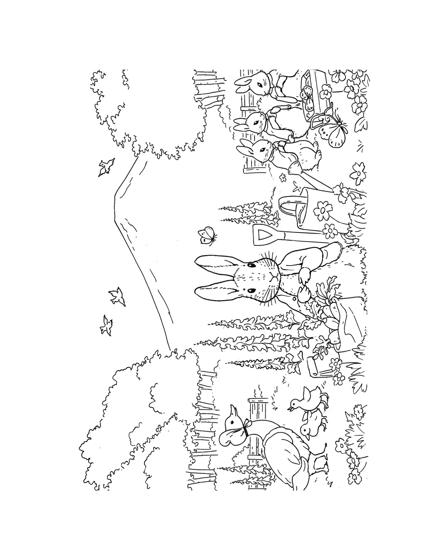 Thỏ Peter Và Khu Vườn Nhiệm Màu - Ảnh 7