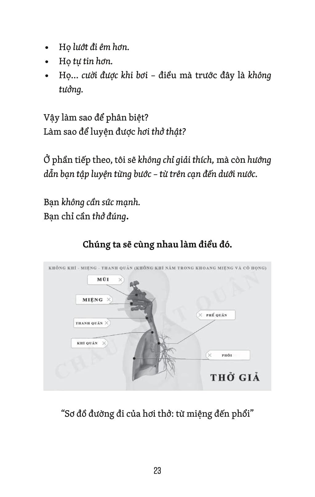 Thở Thật - Thở Giả - Thay Đổi Nhỏ-Khác Biệt To - Bí Quyết Nổi, Bơi Xa Không Mệt - Ảnh 10