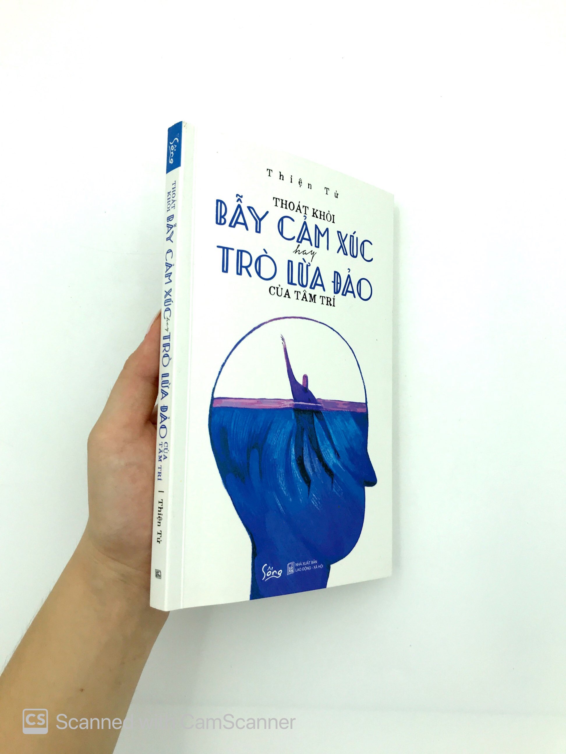 thoát khỏi bẫy cảm xúc hay trò lừa đảo của tâm trí - Ảnh 12