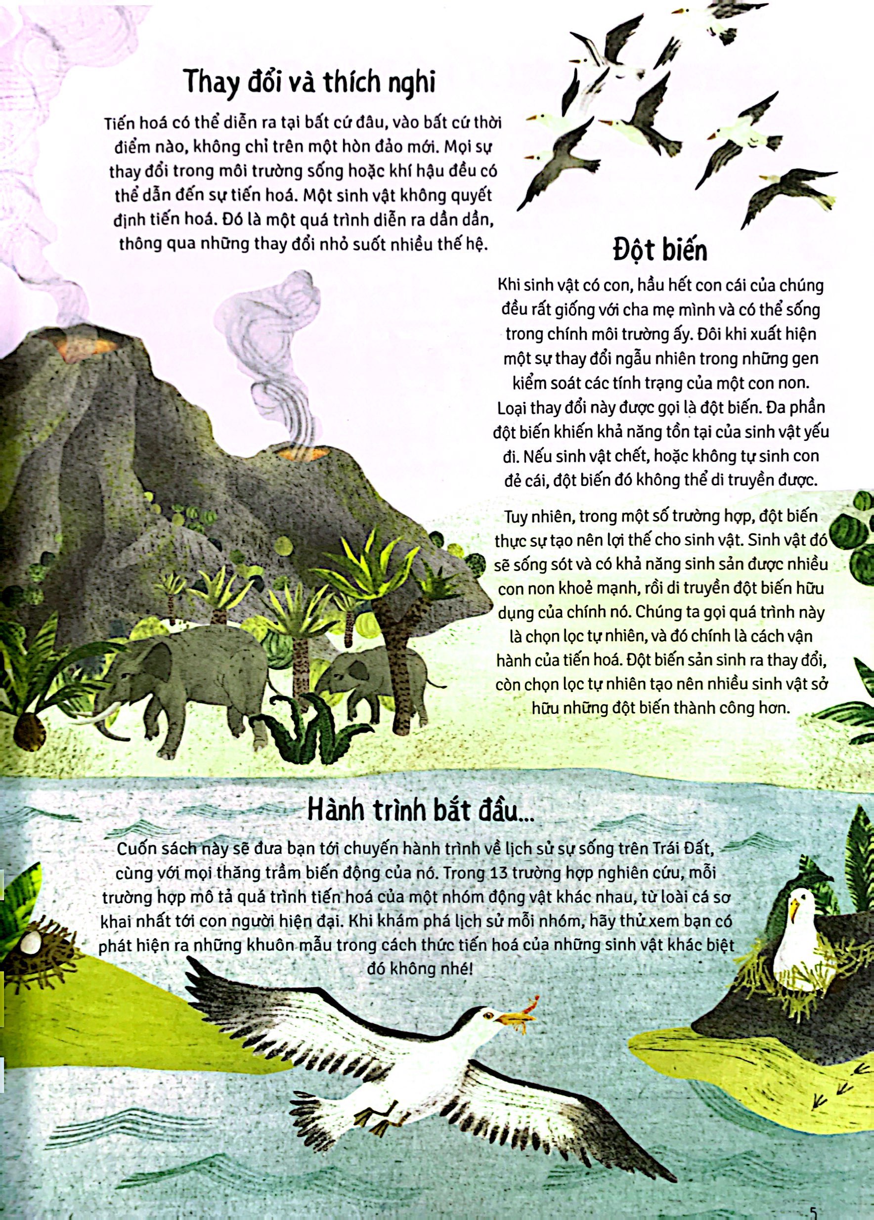 thời cá voi biết đi - Ảnh 5