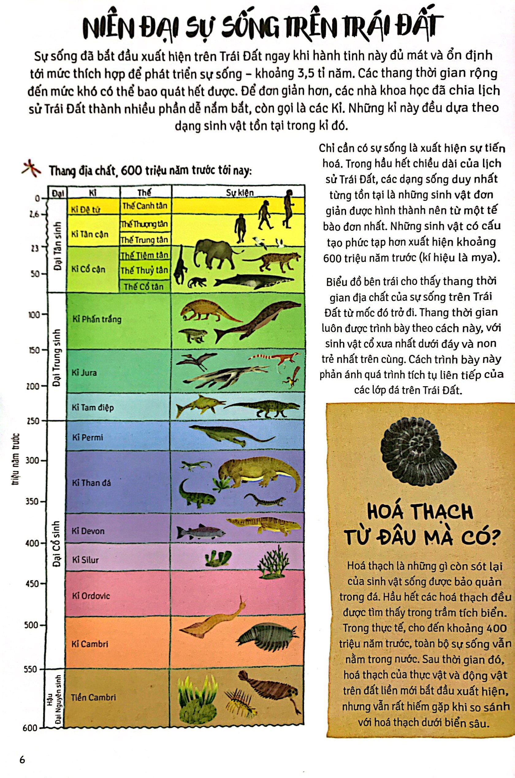 thời cá voi biết đi - Ảnh 6