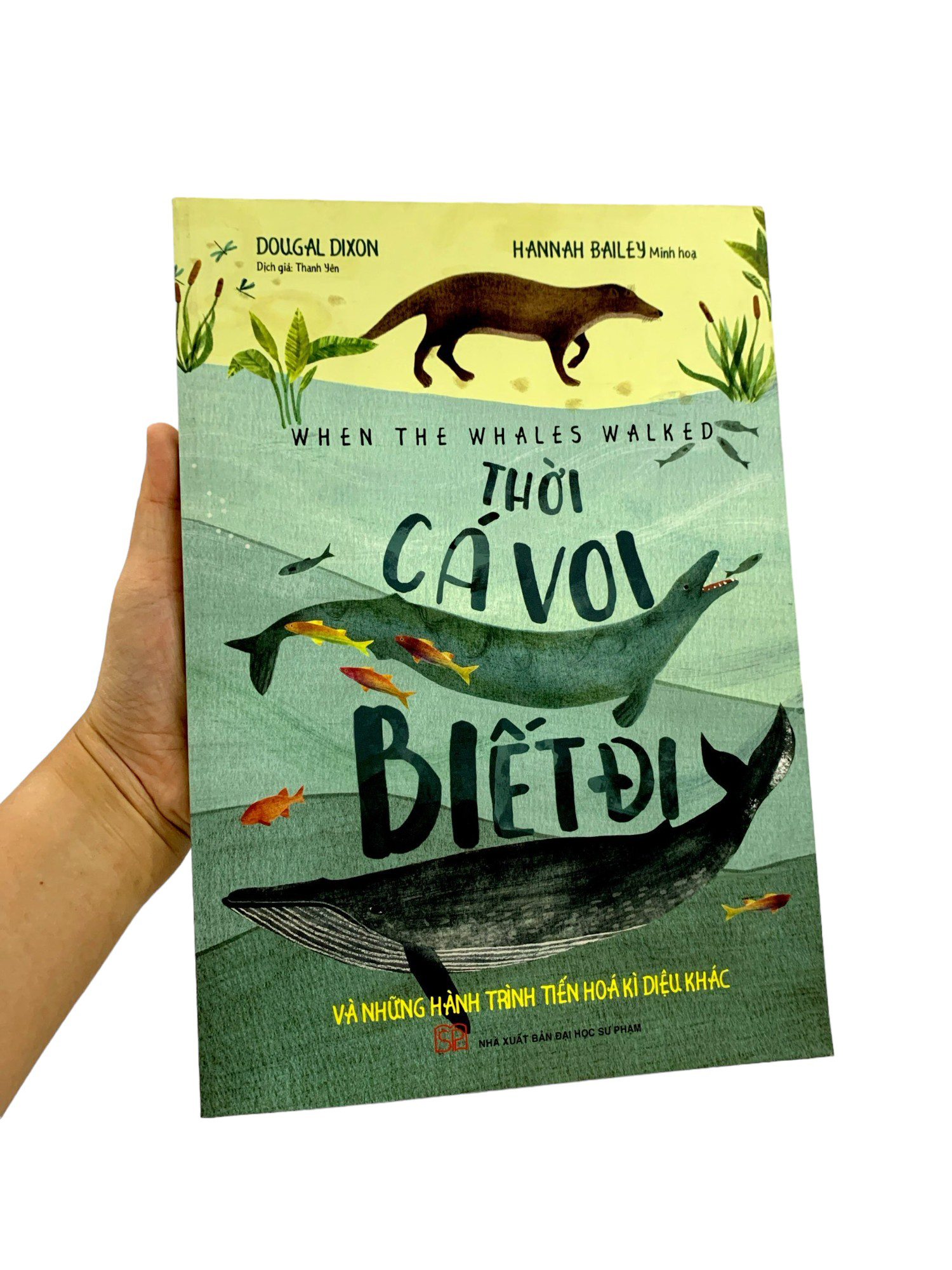 thời cá voi biết đi - Ảnh 8