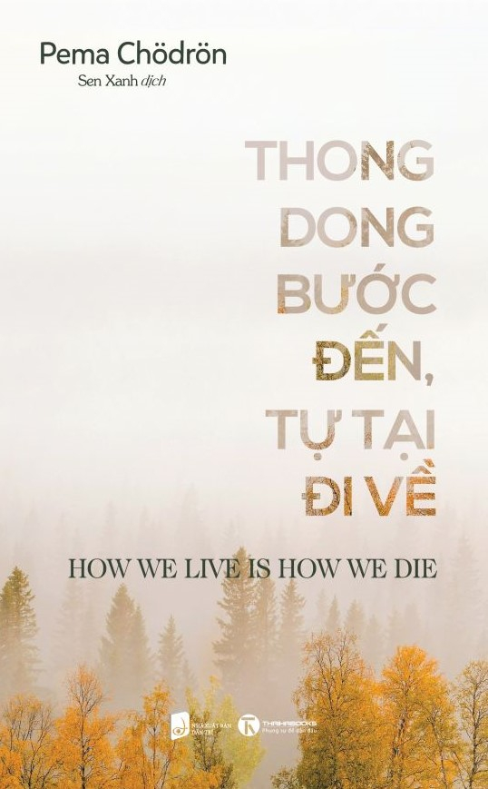 thong dong bước đến - tự tại đi về - Ảnh 2