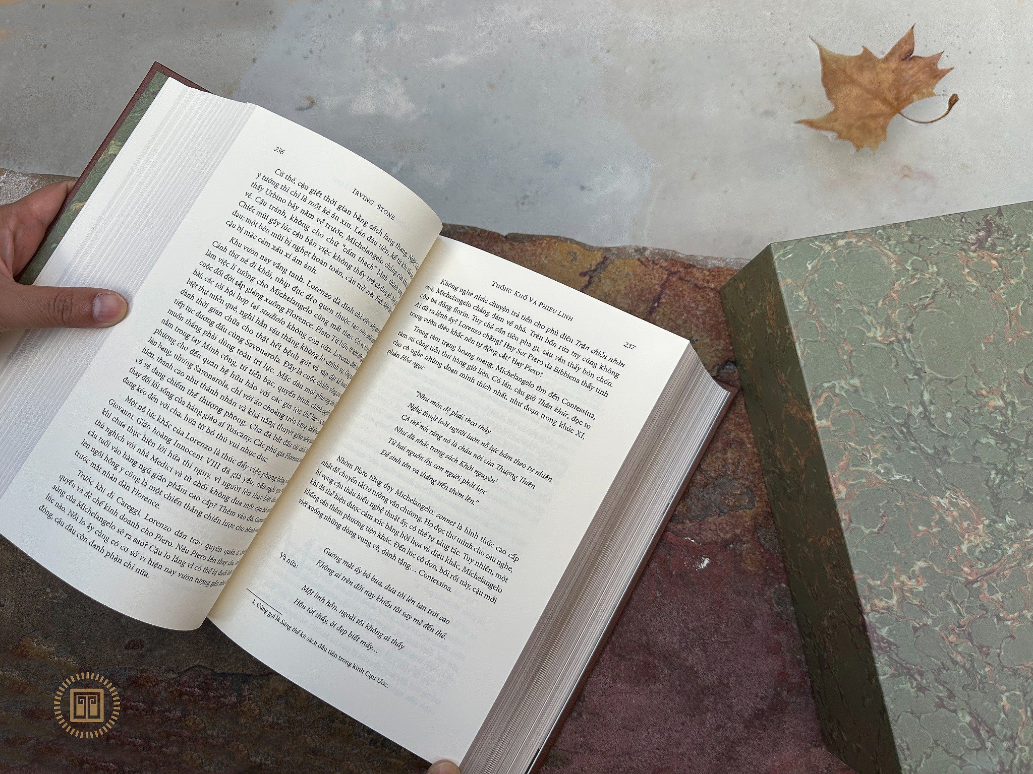 thống khổ và phiêu linh - ấn bản giới hạn - bìa da - Ảnh 7