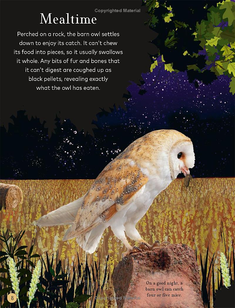 through the night sky: a collection of amazing adventures under the stars - Ảnh 10