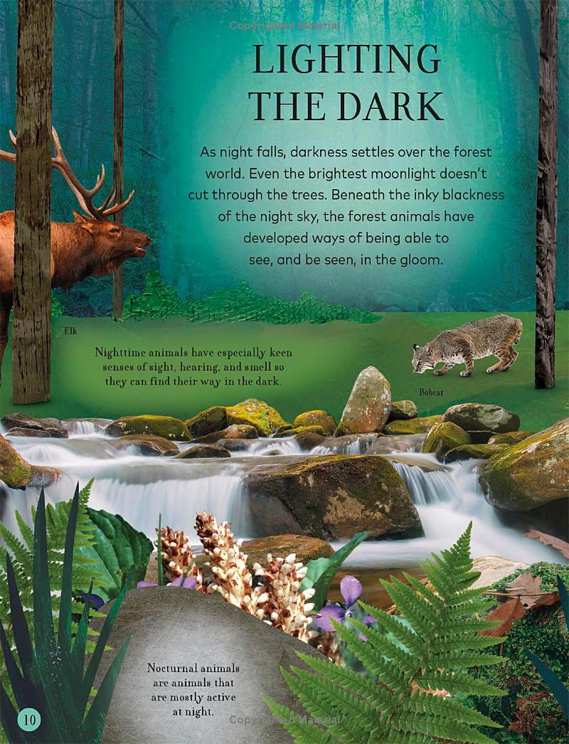 through the night sky: a collection of amazing adventures under the stars - Ảnh 12