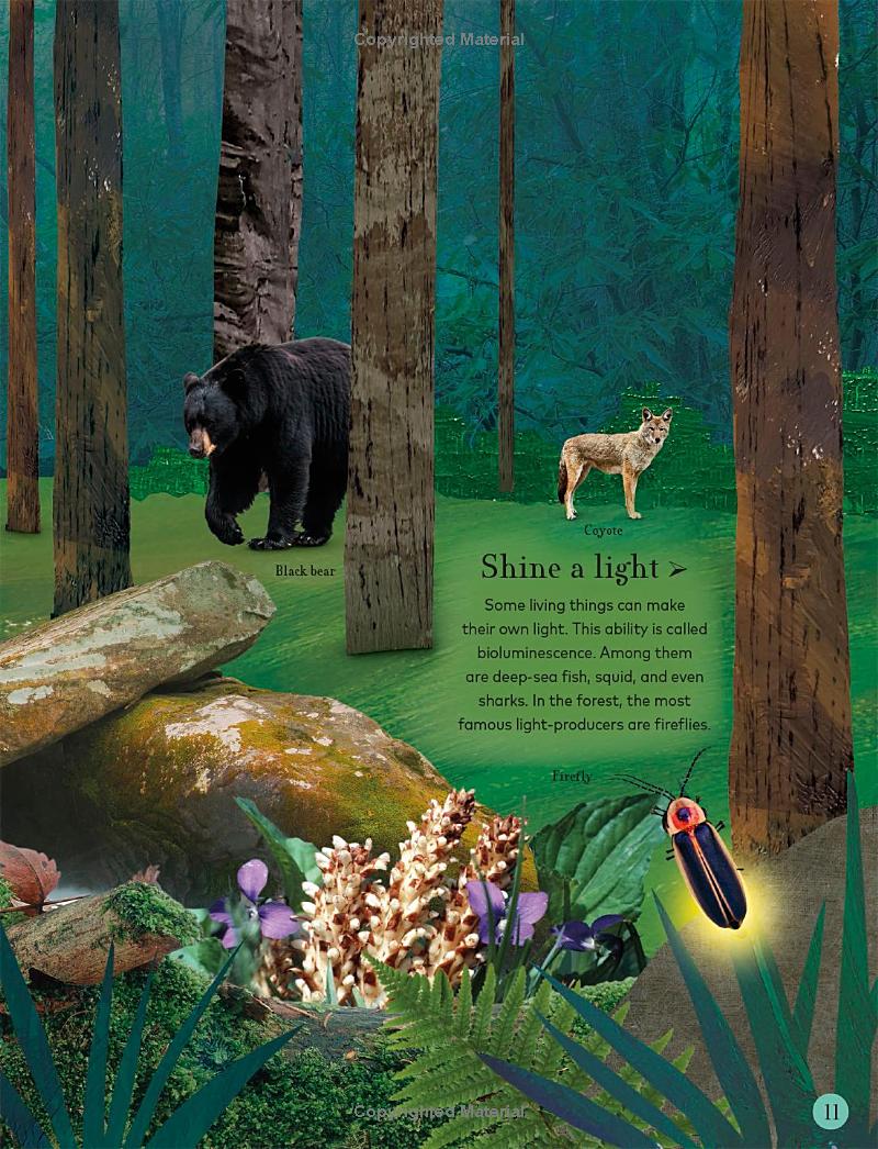 through the night sky: a collection of amazing adventures under the stars - Ảnh 13