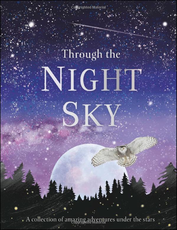 through the night sky: a collection of amazing adventures under the stars - Ảnh 2