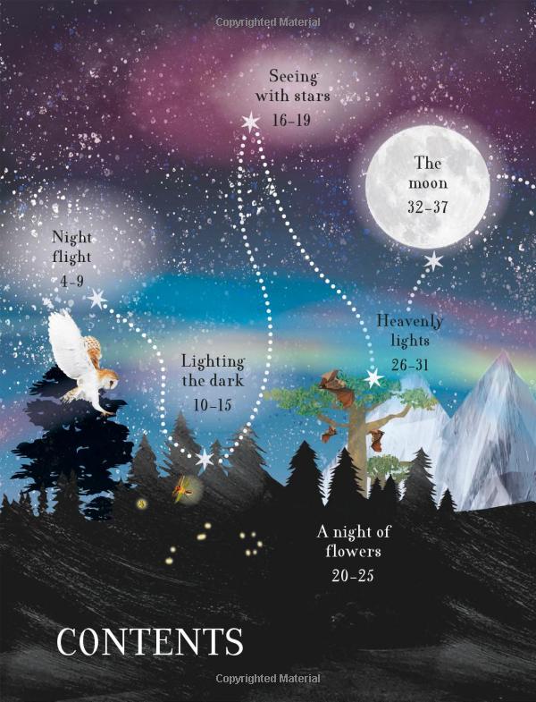 through the night sky: a collection of amazing adventures under the stars - Ảnh 4