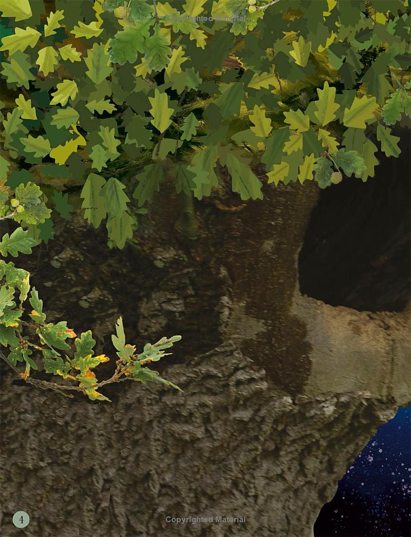 through the night sky: a collection of amazing adventures under the stars - Ảnh 6