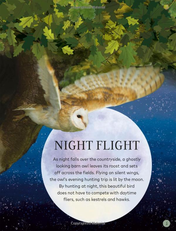through the night sky: a collection of amazing adventures under the stars - Ảnh 7