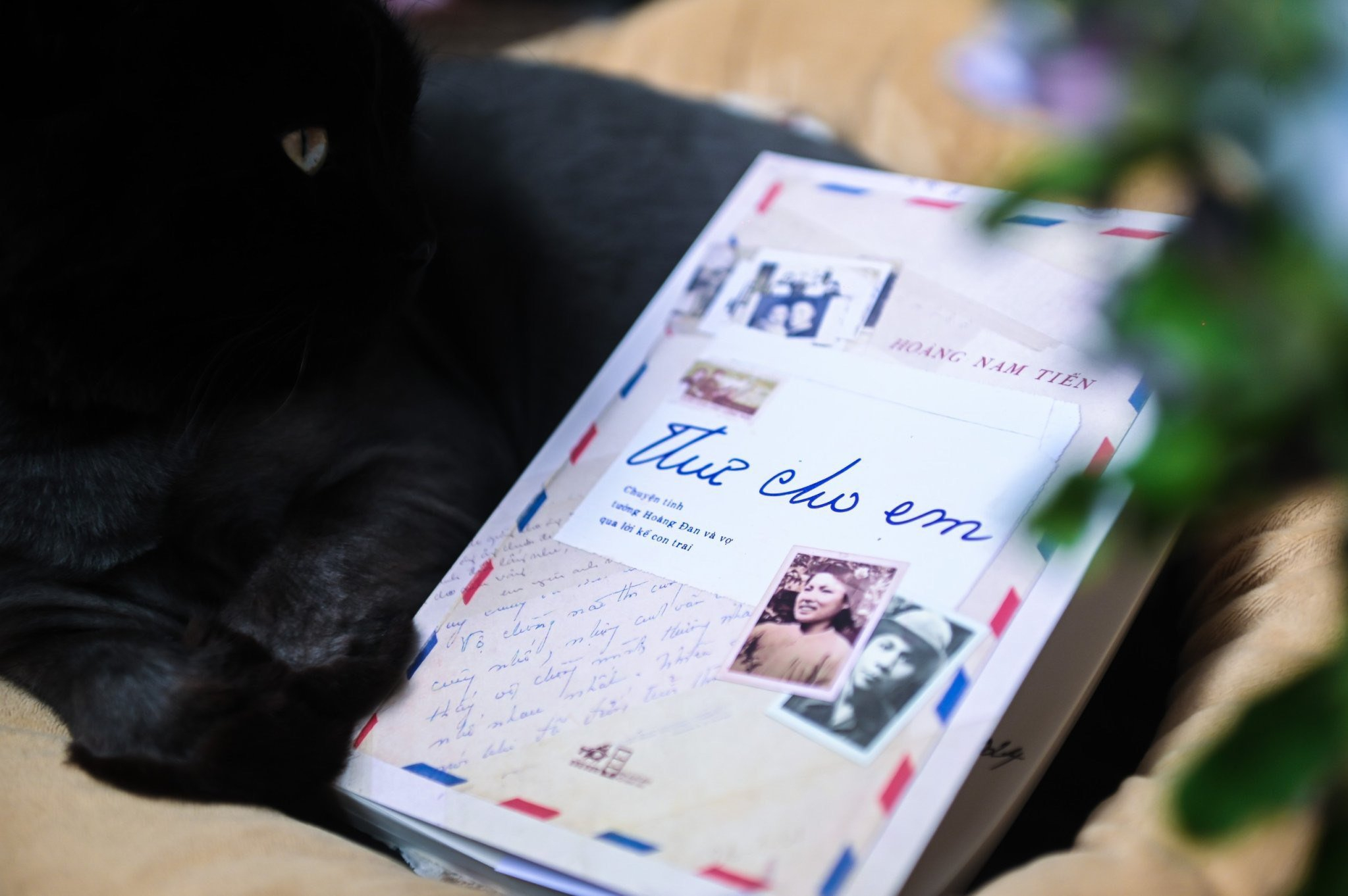 thư cho em - Ảnh 2