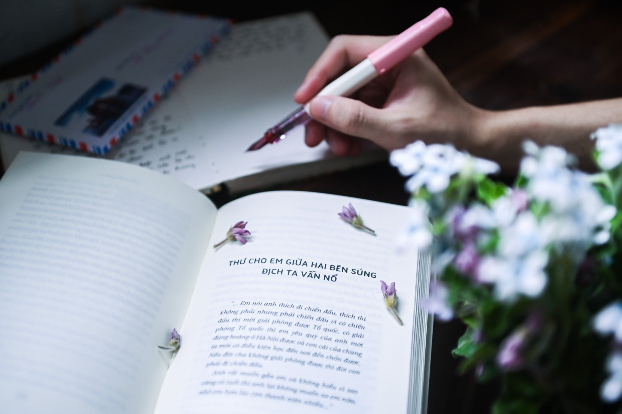 thư cho em - Ảnh 5