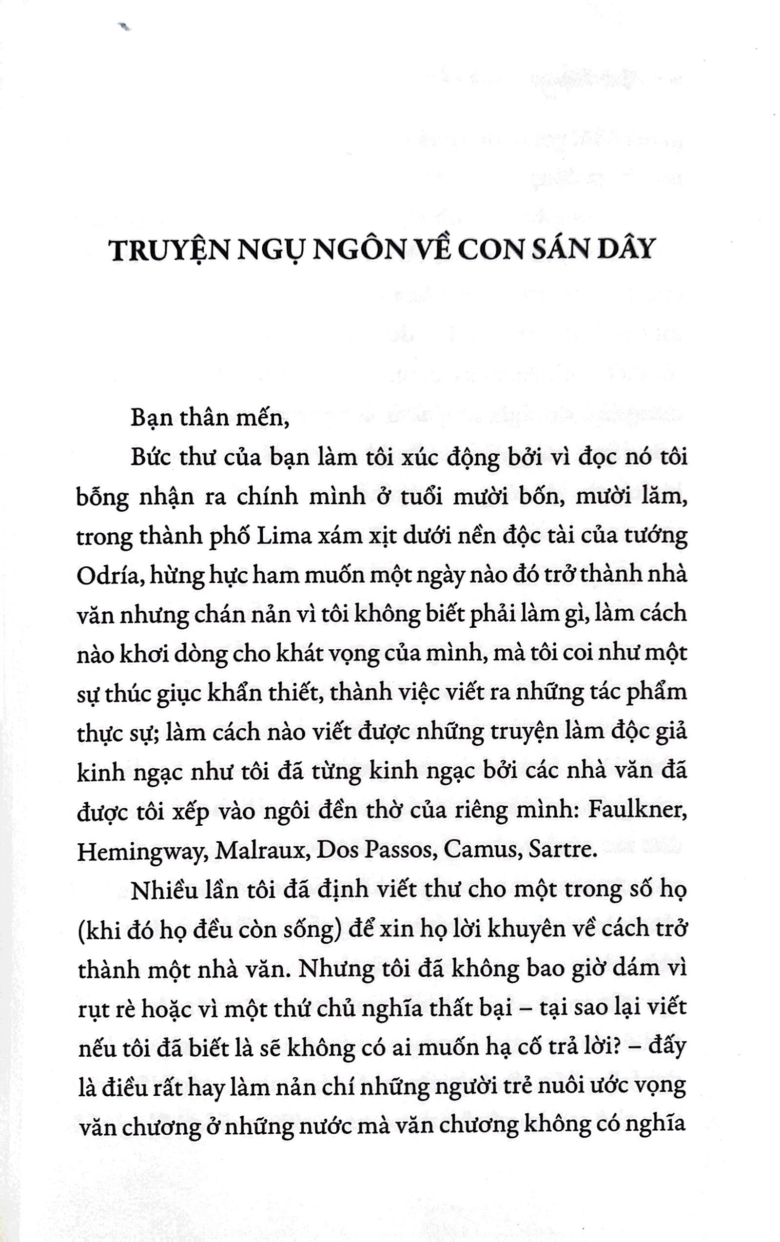 thư gửi nhà tiểu thuyết trẻ - Ảnh 4