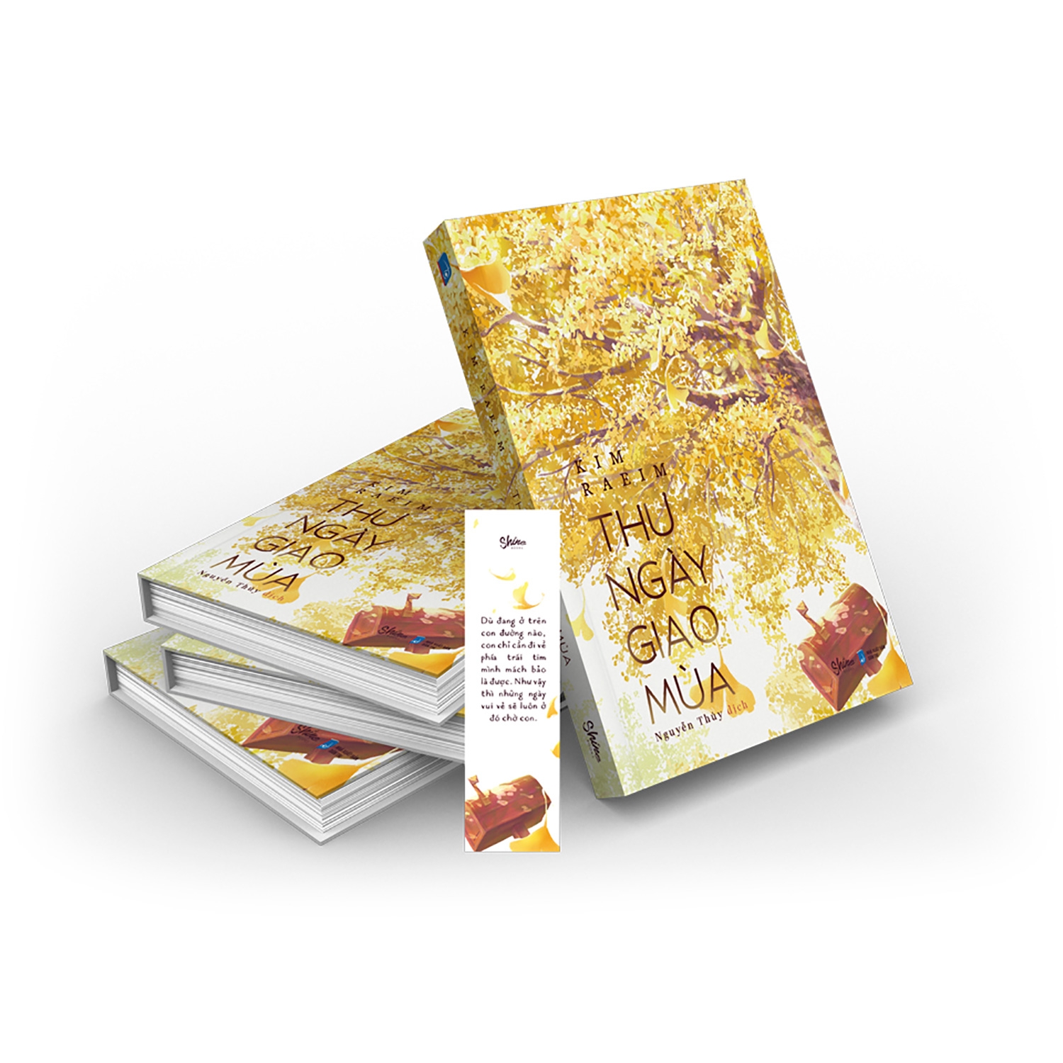 thư ngày giao mùa - Ảnh 4