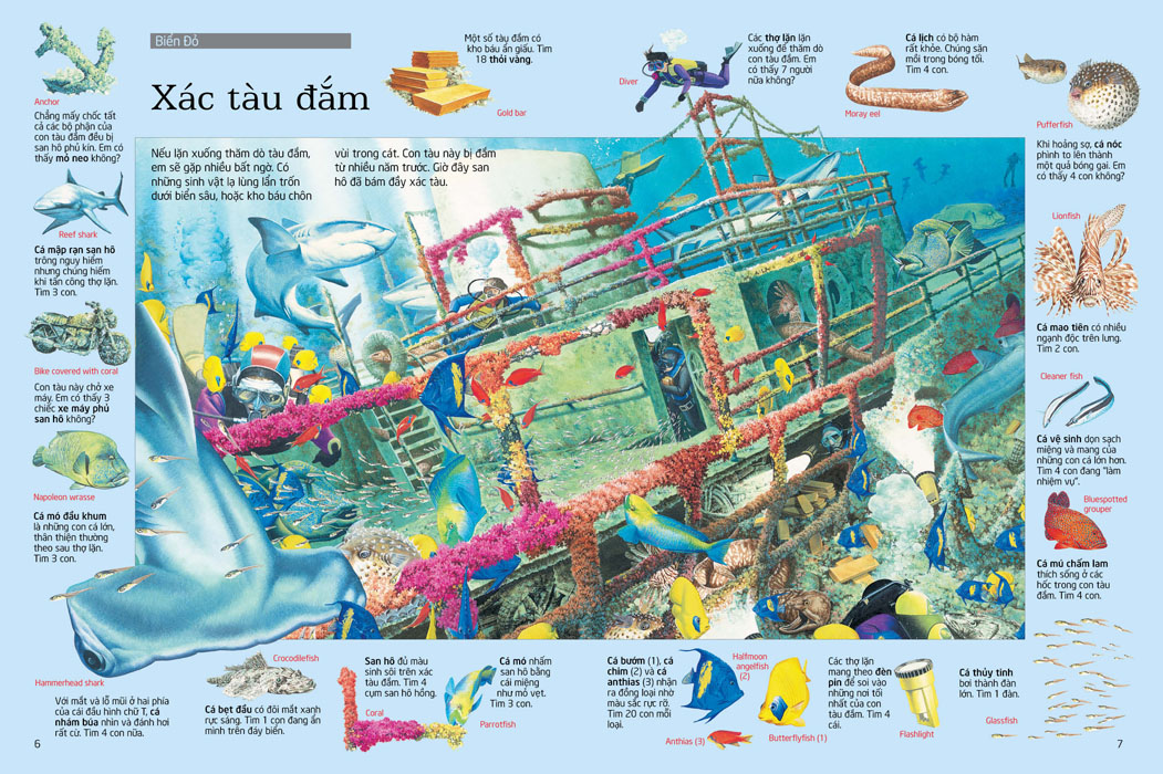 thử tài tìm kiếm - biển khơi - Ảnh 3