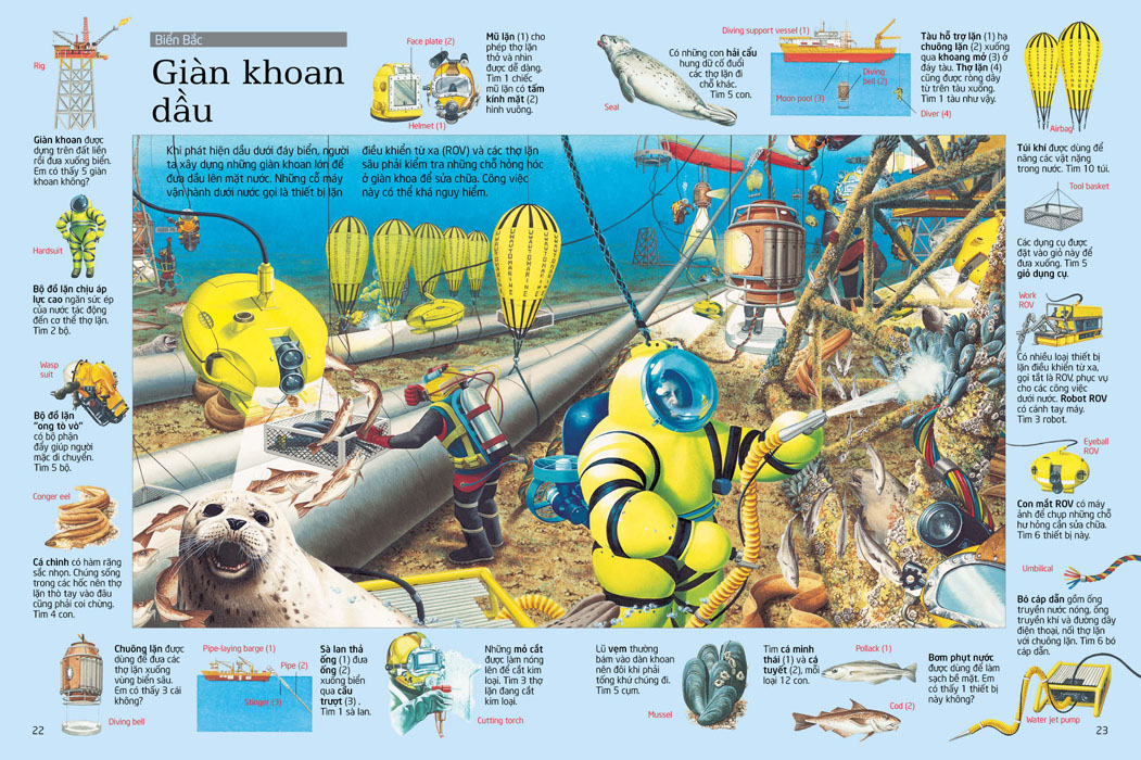 thử tài tìm kiếm - biển khơi - Ảnh 5