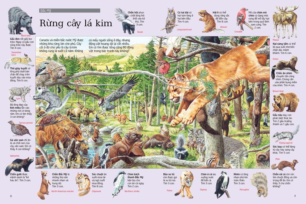 thử tài tìm kiếm - động vật (tái bản 2023) - Ảnh 2