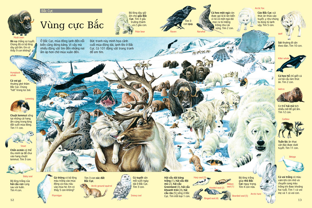 thử tài tìm kiếm - động vật (tái bản 2023) - Ảnh 3