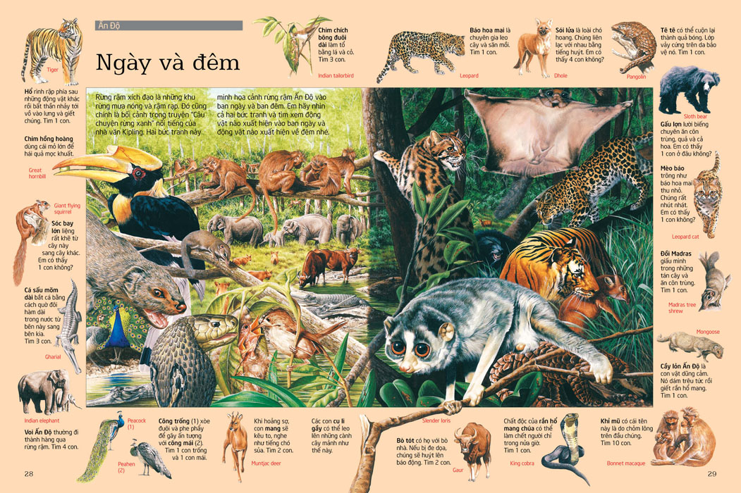 thử tài tìm kiếm - động vật (tái bản 2023) - Ảnh 4