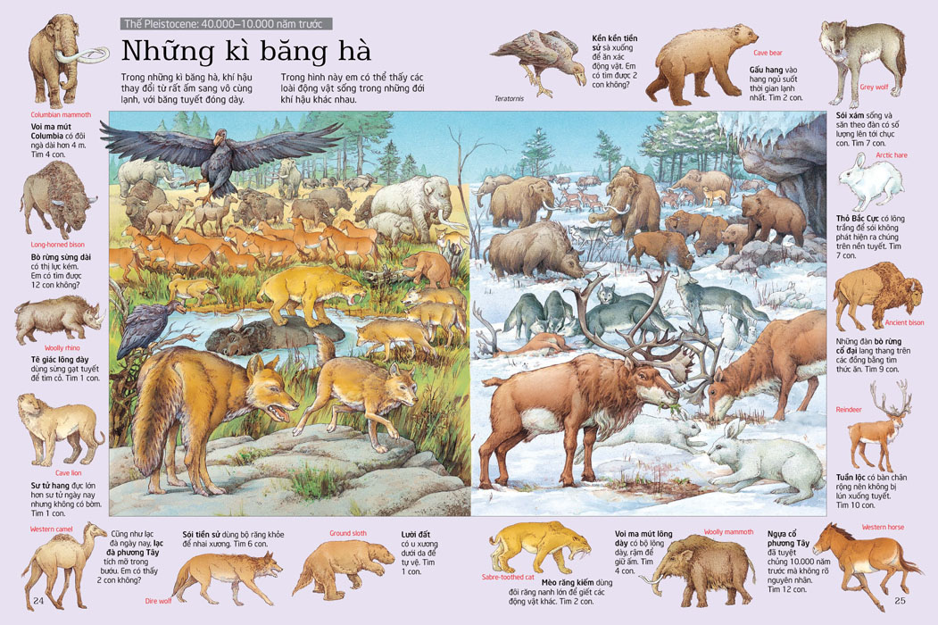 thử tài tìm kiếm - thành phố (tái bản 2023) - Ảnh 4