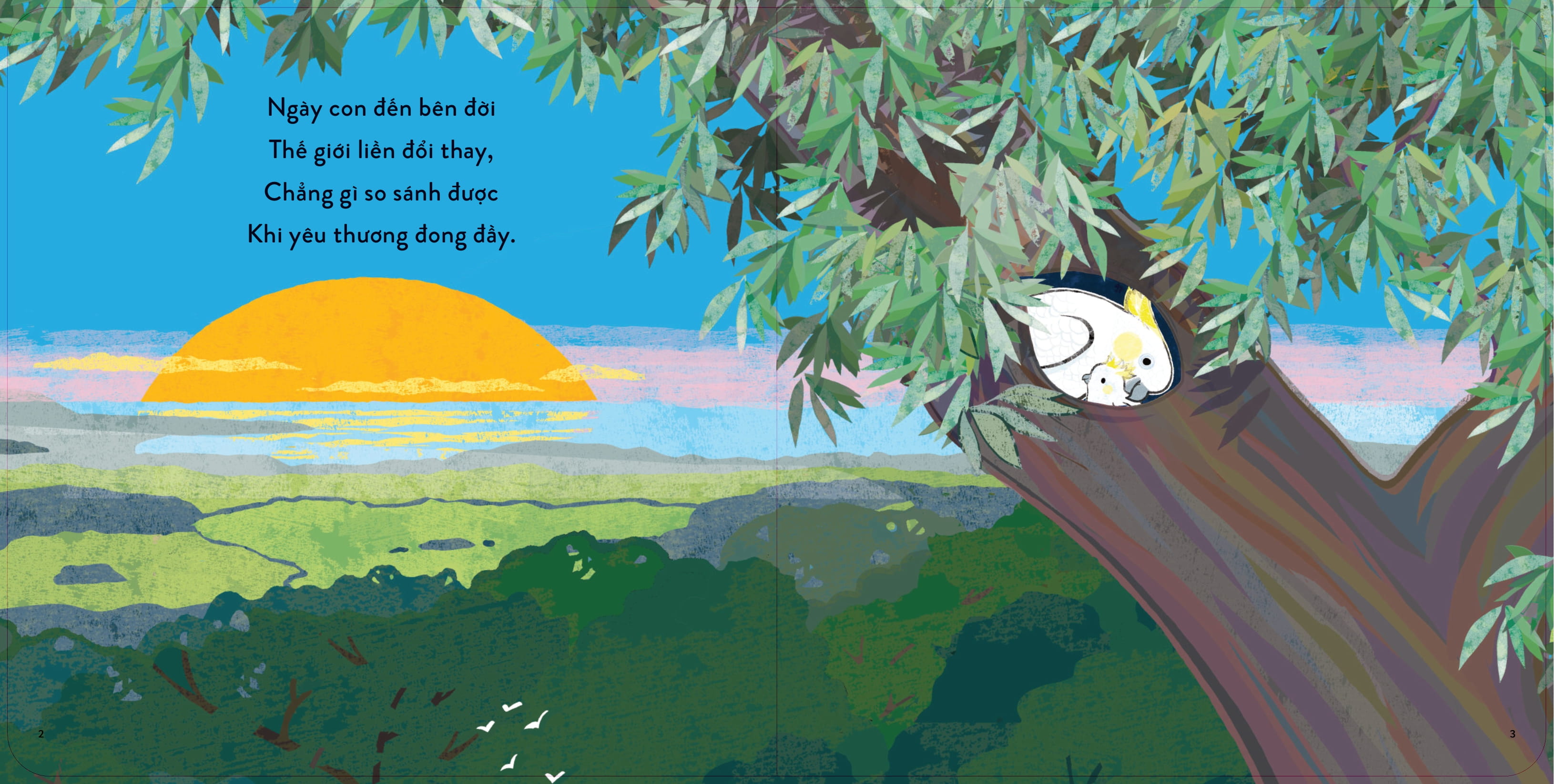 Thủ Thỉ Cùng Con - Sải Cánh Tung Bay - Ảnh 3