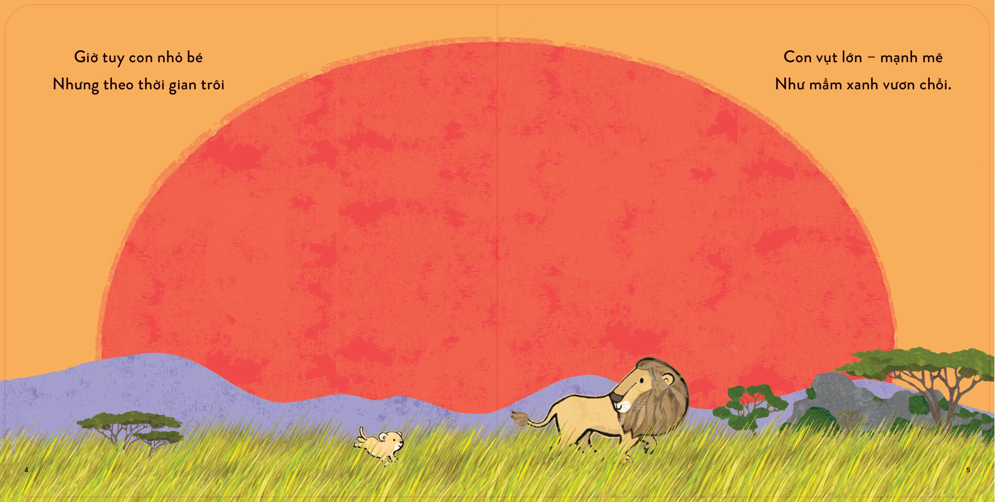 Thủ Thỉ Cùng Con - Vươn Tới Ước Mơ - Ảnh 4