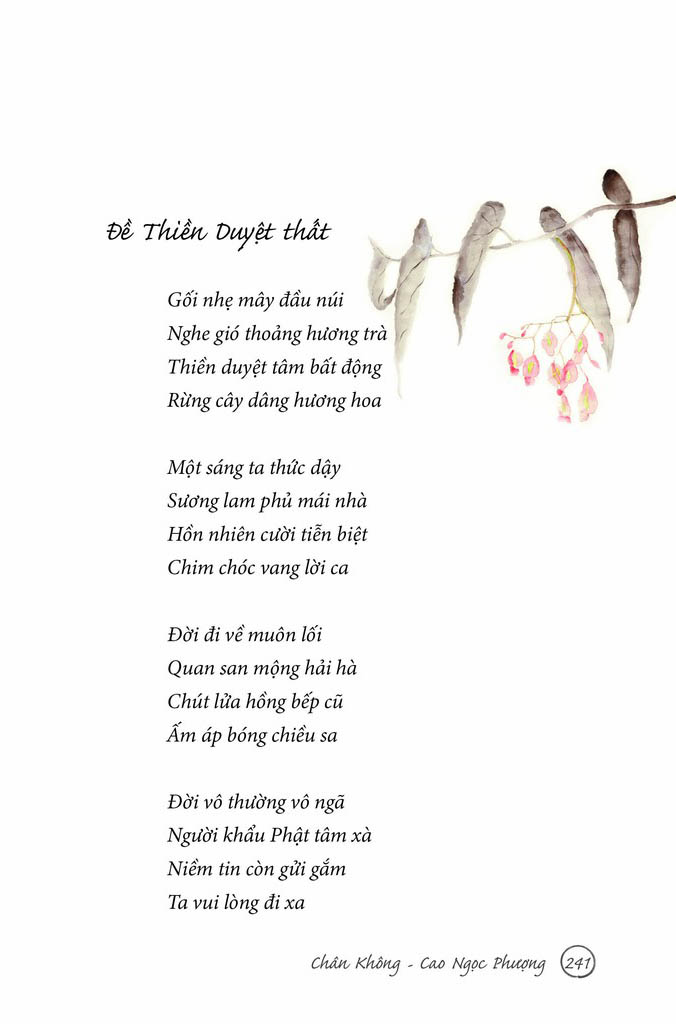 thử tìm dấu chân trên cát - Ảnh 6