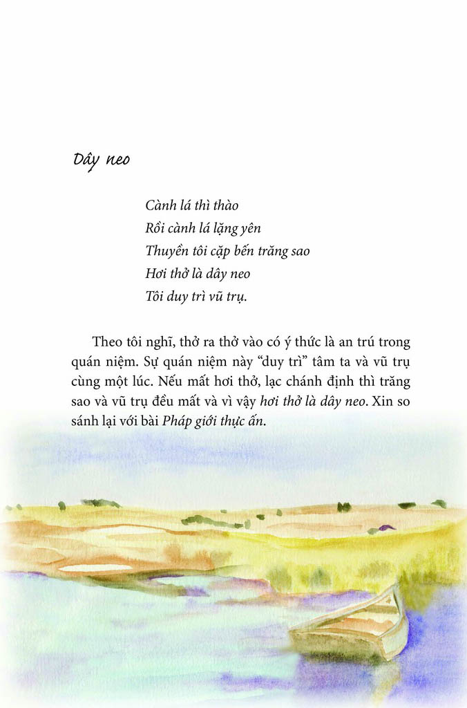 thử tìm dấu chân trên cát - Ảnh 8