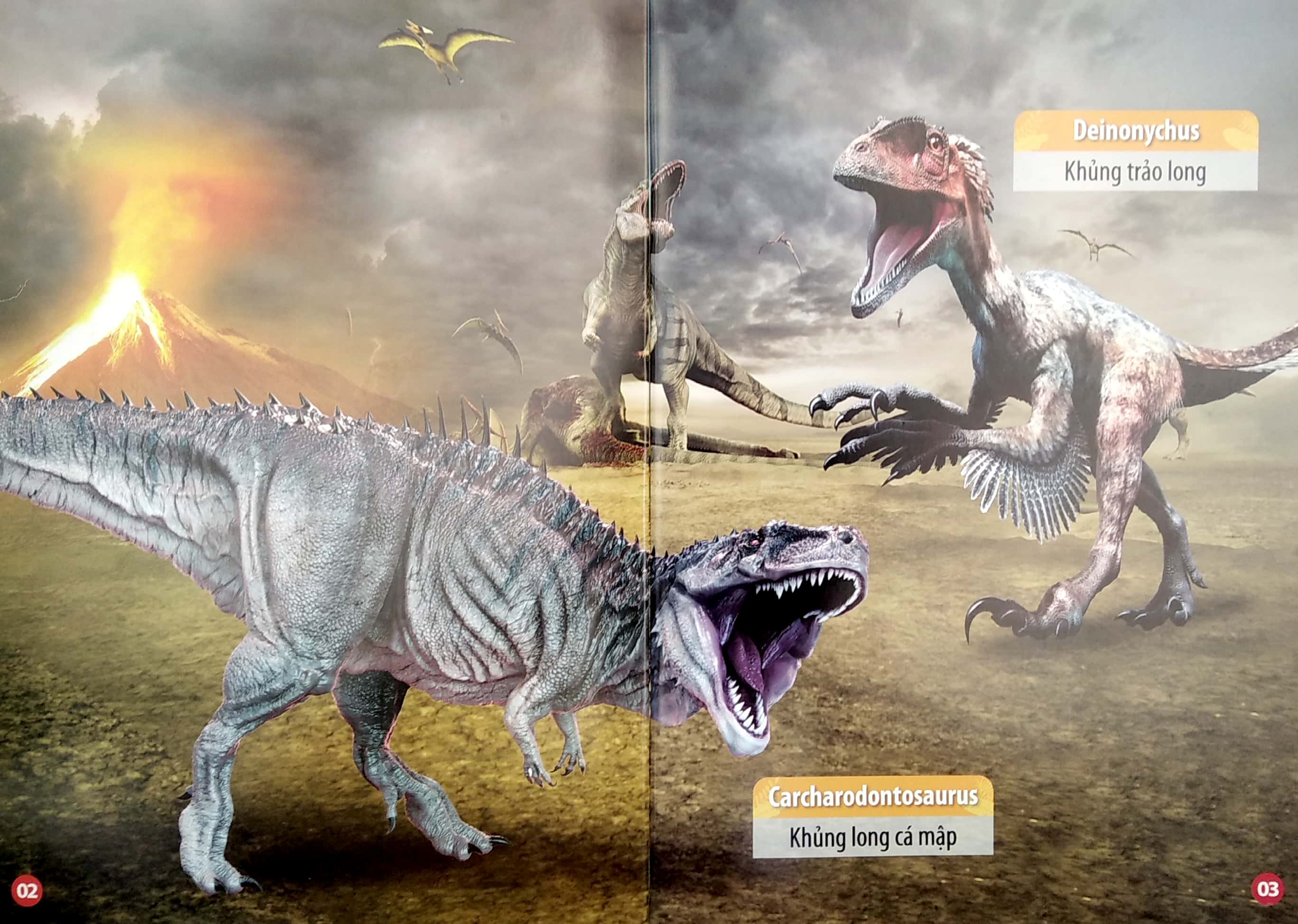 thư viện hình ảnh song ngữ đầu tiên của bé - thế giới khủng long - Ảnh 3