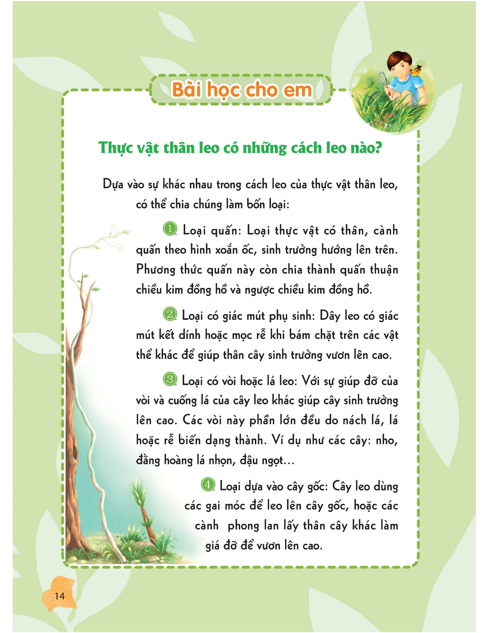 thư viện tri thức dành cho học sinh - khám phá thế giới tự nhiên - Ảnh 10