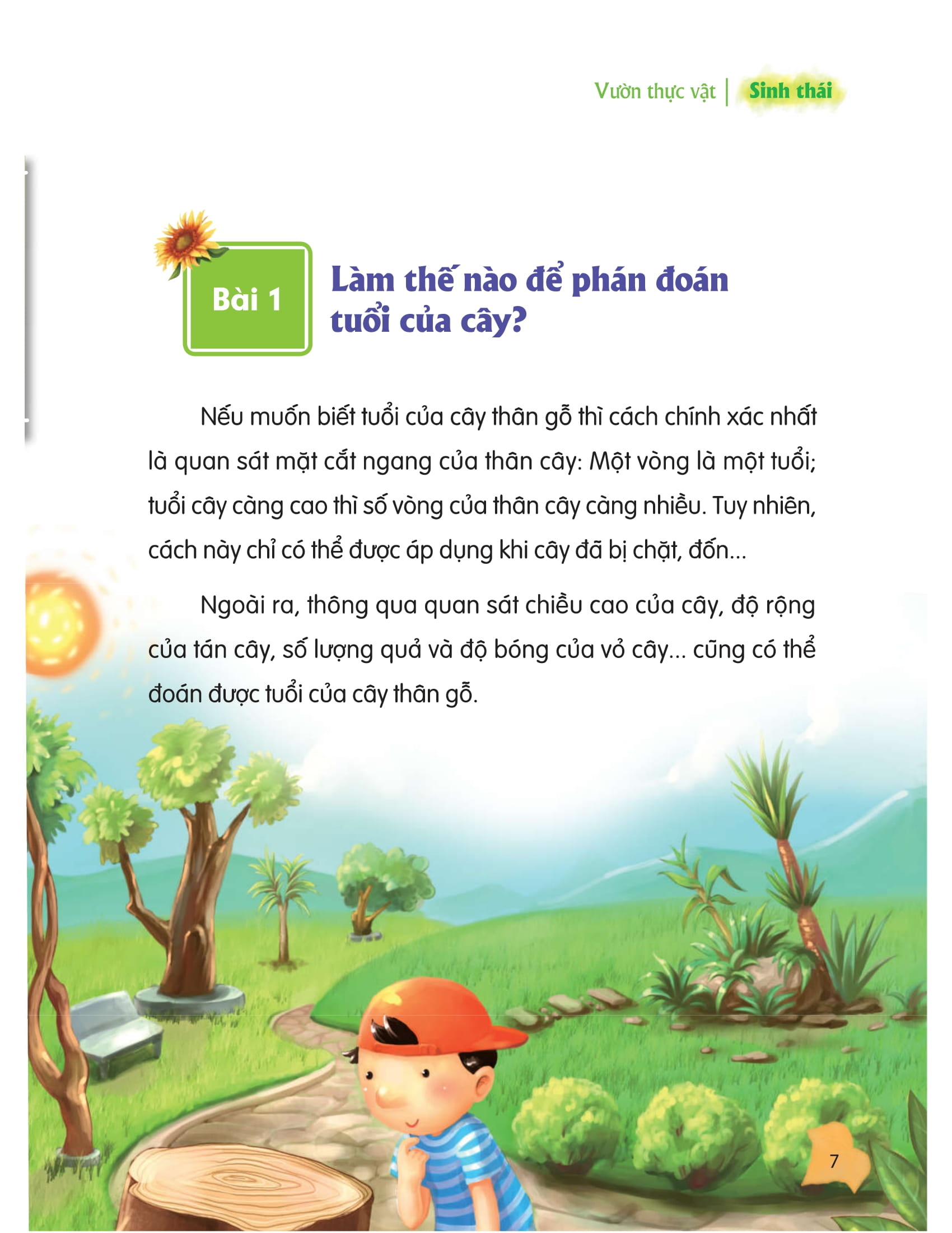 thư viện tri thức dành cho học sinh - khám phá thế giới tự nhiên - Ảnh 3