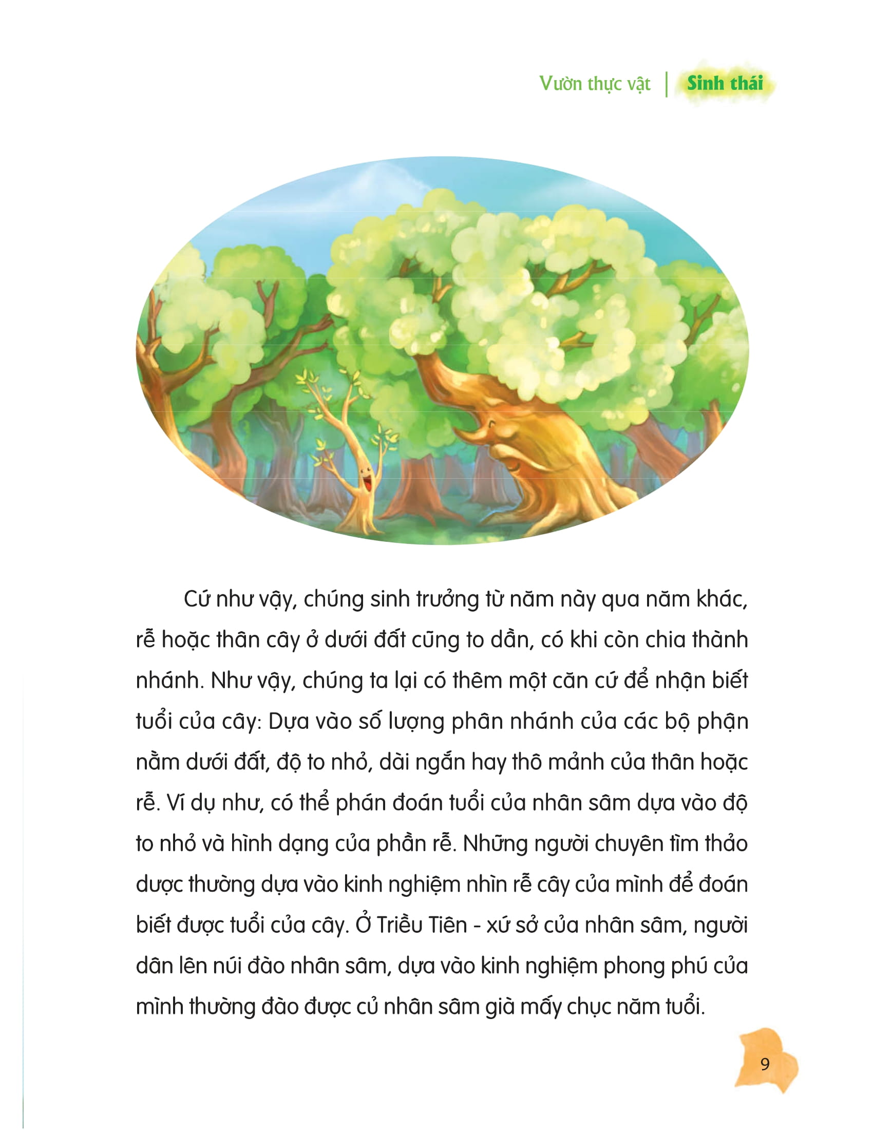 thư viện tri thức dành cho học sinh - khám phá thế giới tự nhiên - Ảnh 5