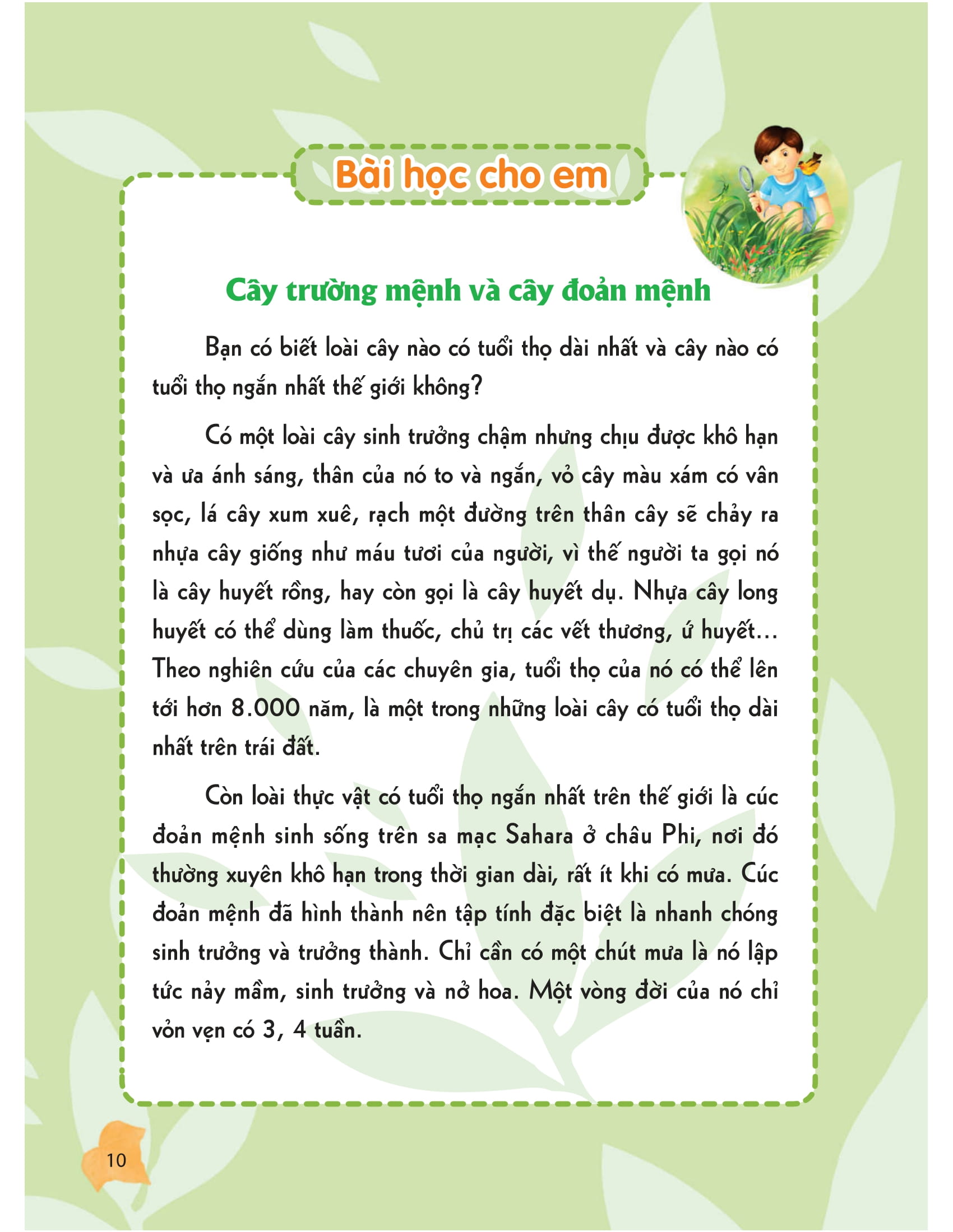 thư viện tri thức dành cho học sinh - khám phá thế giới tự nhiên - Ảnh 6