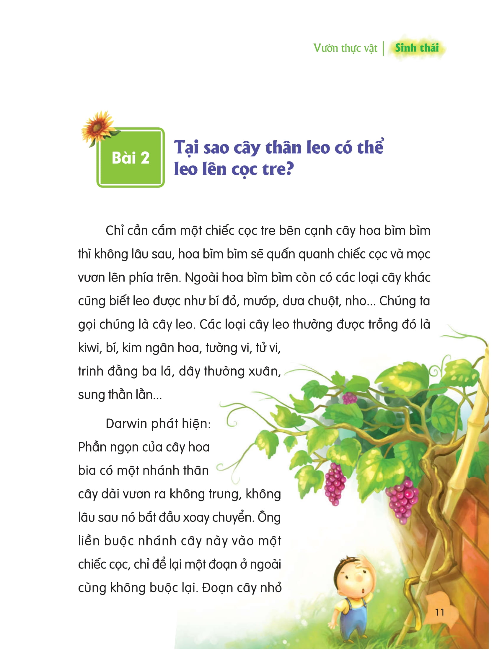 thư viện tri thức dành cho học sinh - khám phá thế giới tự nhiên - Ảnh 7