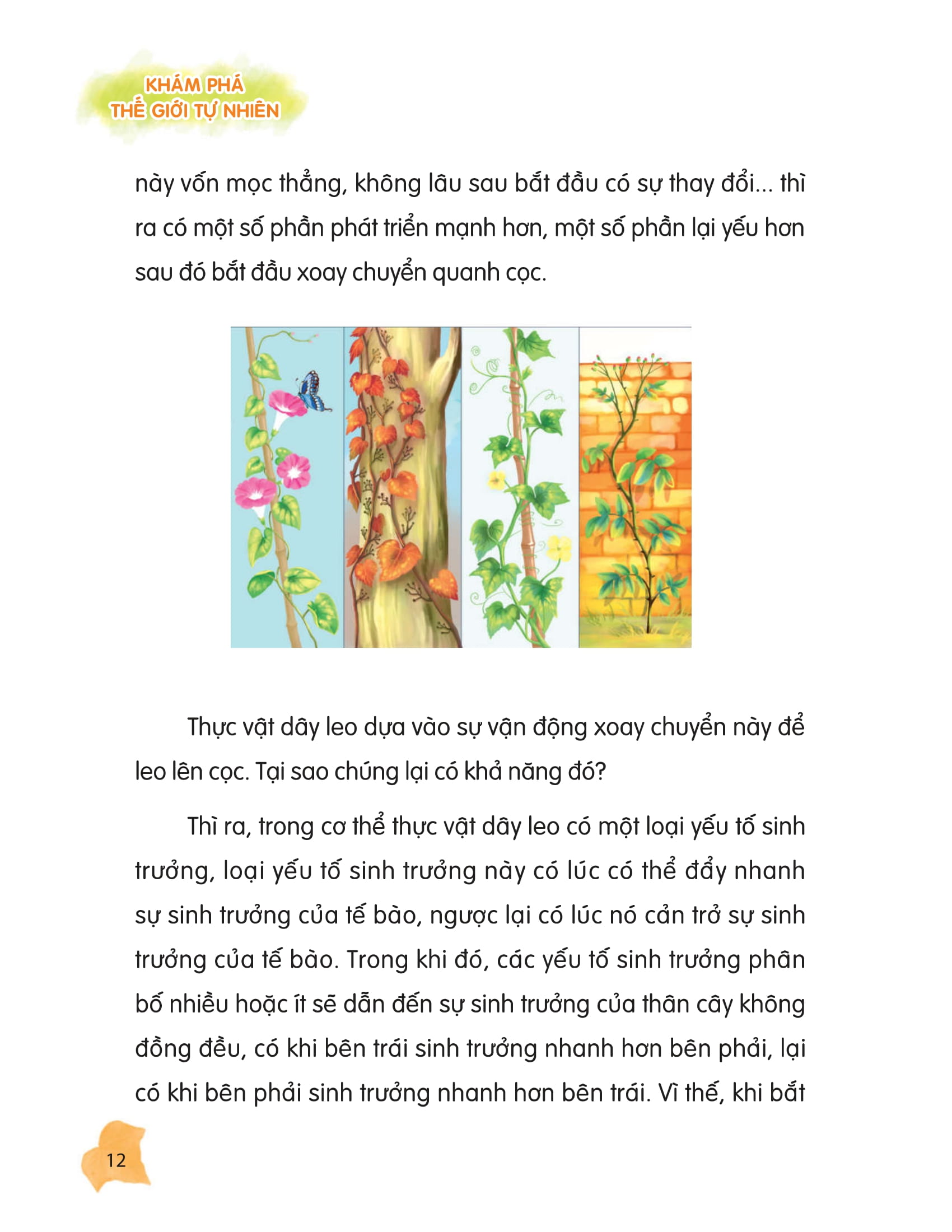 thư viện tri thức dành cho học sinh - khám phá thế giới tự nhiên - Ảnh 8